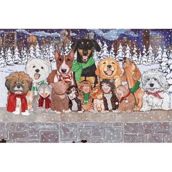 Pipsqueak Productions Pipsqueak Productions C514 Mix Dog With Cat Holiday Boxed Cards C514